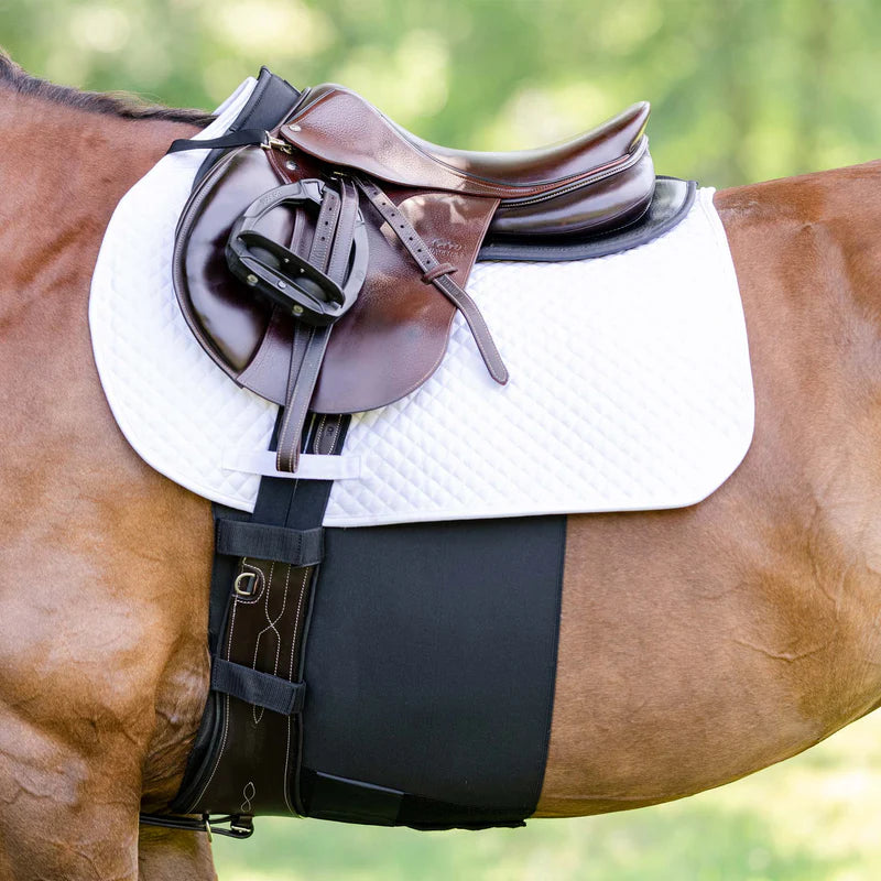 Equifit - Belly Band Plus - Cheval Equestrian Inc.