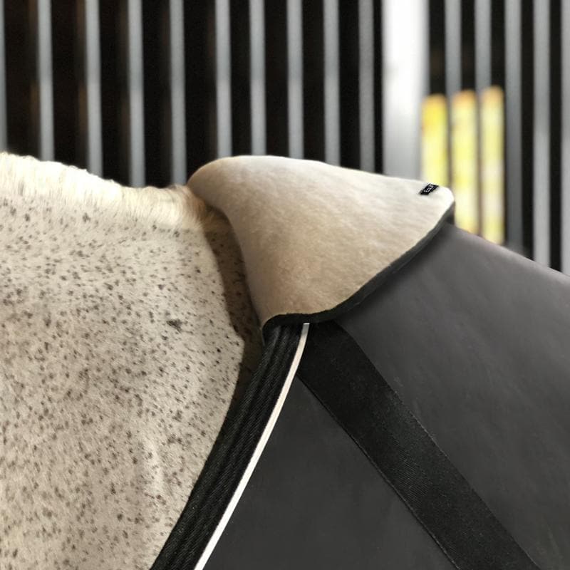 Equifit - Wither Shield