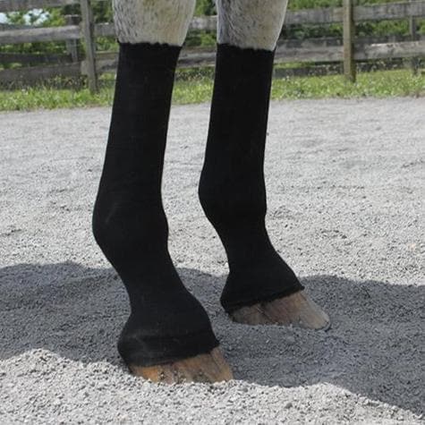 Equifit - HorseSox - Cheval Equestrian Inc.