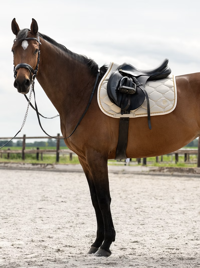 PS of Sweden - Saddle Pad Jump Signature - Cheval Equestrian Inc.
