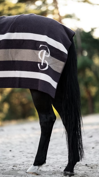 PS of Sweden - Striped Wool Blanket - Cheval Equestrian Inc.