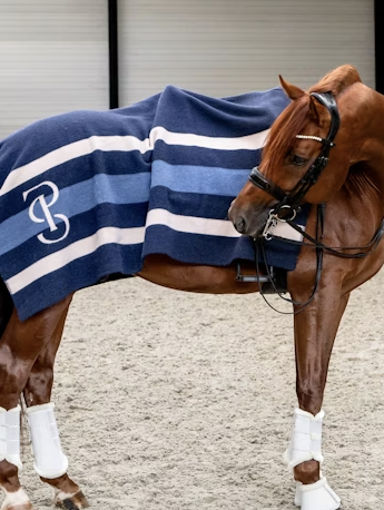 PS of Sweden - Striped Wool Blanket - Cheval Equestrian Inc.