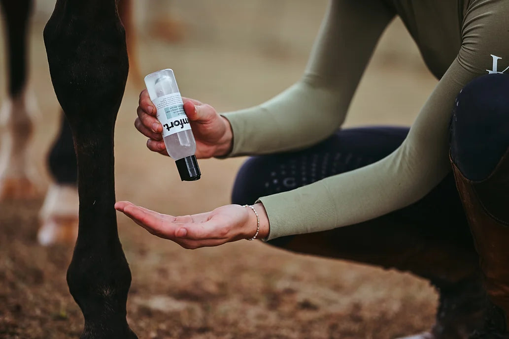 Infused Equestrian - Comfort. A Liniment - Cheval Equestrian Inc.