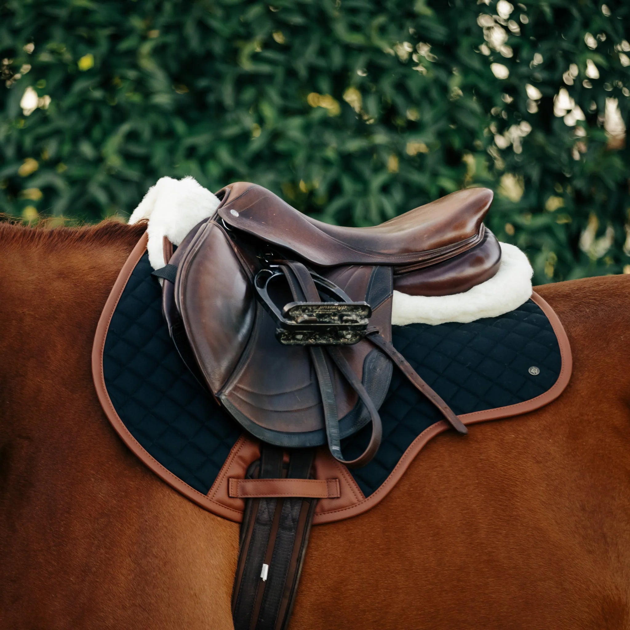 Sixteen Cypress - Close Contact Pad - Cheval Equestrian Inc.