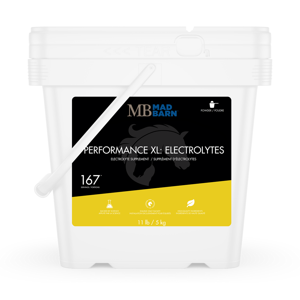 MadBarn - Performance XL: Electrolytes - Cheval Equestrian Inc.